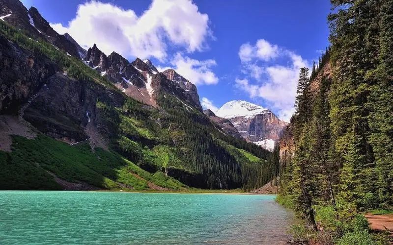 先进智能系统